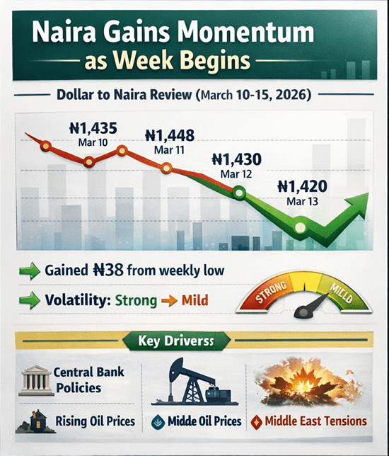 Naira Gains Slight Momentum as New Week Opens